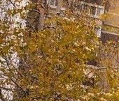 Продать Квартиры вторичка Тосно г., улица Блинникова, 6   