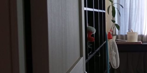 2-комн квартира Гражданский проспект, 19К2