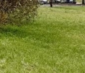 Продать Квартиры вторичка д. Оржицы, 22   