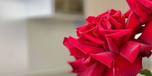 2-комн квартира улица Нахимова, 20