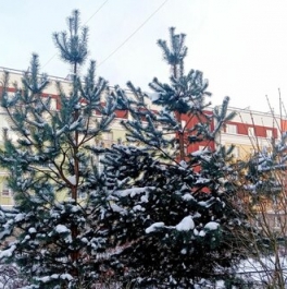 Продажа 1-комн квартиры на вторичном рынке Юнтоловский пр-кт,  д. 51,  к. 3