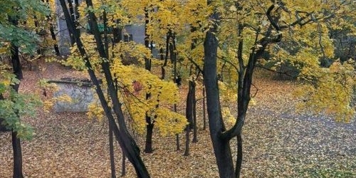 1-комн квартира Институтский проспект, 4К1