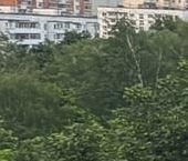 Продать Квартиры вторичка Алтайская улица, 18   