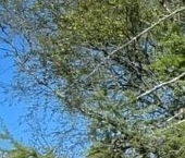 Продать Дачи, коттеджи, загородные дома д. Муховицы, улица Ветеранов, 30   