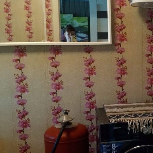 1-комн квартира Кингисепп, Песочная улица, 15