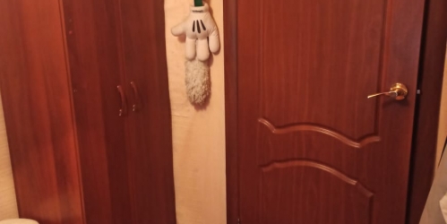 Комната Старый Гай улица,  д. 1,  к. 5