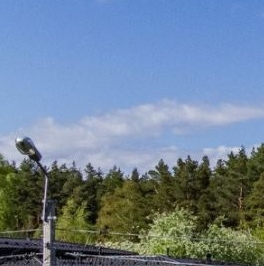 Продажа земли пос. Лисий Нос, Раздельный проспект, 13