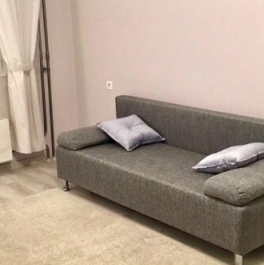 Аренда 1-комн квартиры на вторичном рынке ул Палехская,  д. 133