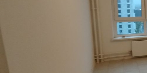 2-комн квартира Дальневосточный проспект, 33к1