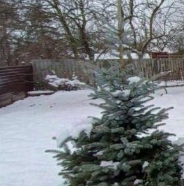 Продажа дома Торики-2 СНТ Продажа дома Торики-2 СНТ