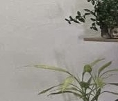 Продать Квартиры вторичка Ивантеевка, Трудовая улица, 7   