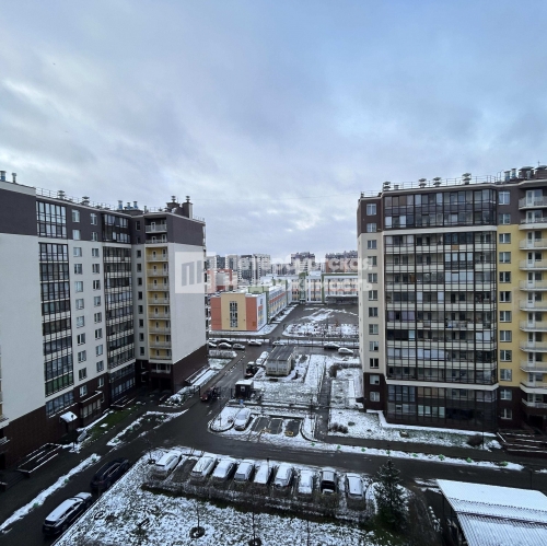 Студия Ветеранов пр-кт,  д. 5