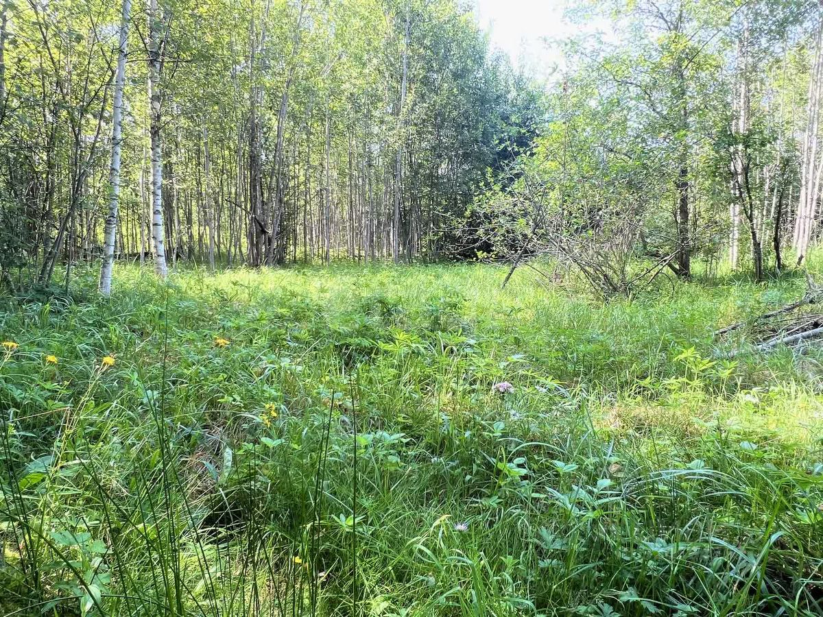 Продажа земли Посадников остров садоводческий массив, 8-я линия