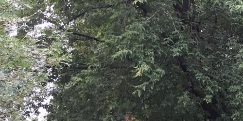 Комната Окружной проезд, 24