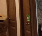 Продать Квартиры вторичка Электросталь, улица Победы, 18к4   