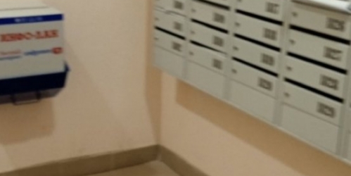 Студия Ломоносов г., Михайловская ул. ,  д. 51