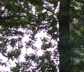 Продать Квартиры вторичка улица Седова, 156   