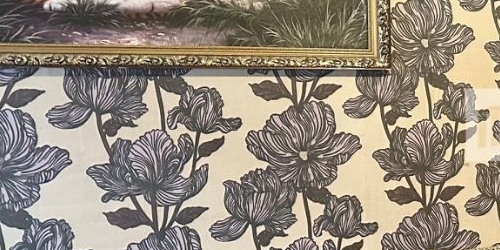 2-комн квартира Новочеркасский проспект, 46