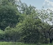 Продать Дачи, коттеджи, загородные дома Отрадное, Загородная улица, 6   