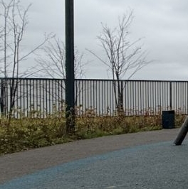 Аренда 1-комн квартиры на вторичном рынке Чкаловский б-р, д. 6 Аренда 1-комн квартиры на вторичном рынке Чкаловский б-р, д. 6