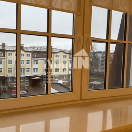 Продажа 1-комн квартиры на вторичном рынке Санкт-Петербургское шоссе,  д. 108,  к. 2