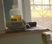 Продать Квартиры вторичка пос. Реммаш, улица Мира, 1   