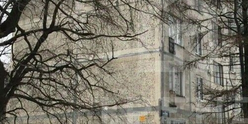 1-комн квартира улица Бабушкина, 115к1