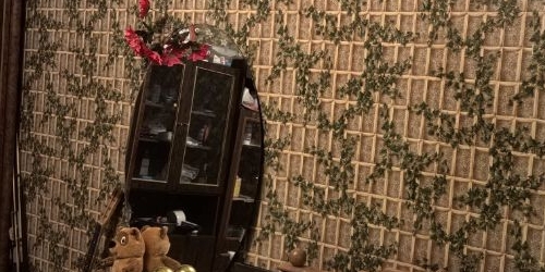 3-комн квартира Балашиха, шоссе Энтузиастов, 49