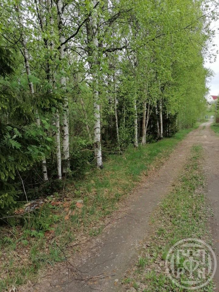 Продажа земли Юбилейное-Ручьи СНТ