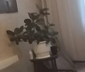 Продать Квартиры вторичка проспект Маршала Жукова, 49   