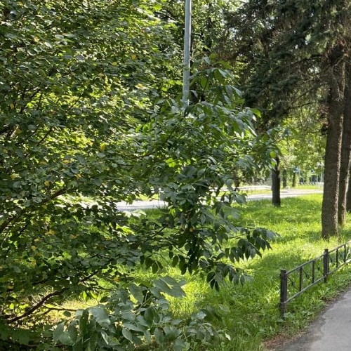 2-комн квартира улица Пилотов, 30К1