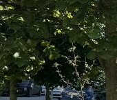 Продать Квартиры вторичка Микрорайон Западный остров, д. Бузланово  к1 