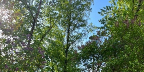 3-комн квартира улица Кондратюка,  д. 2