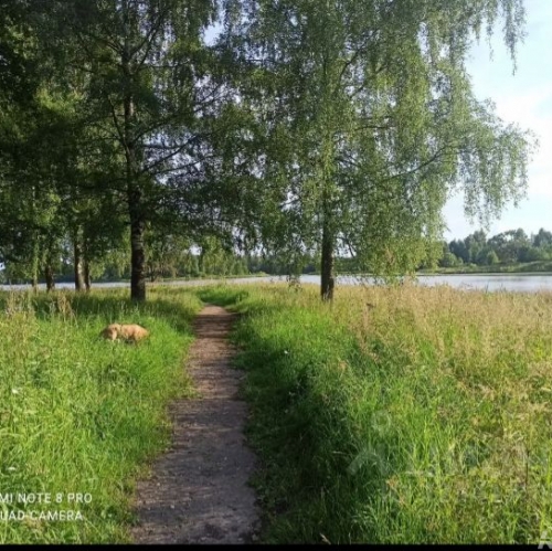 Гараж/парковка Сергиев Посад, ул Птицеградская,  д. 17