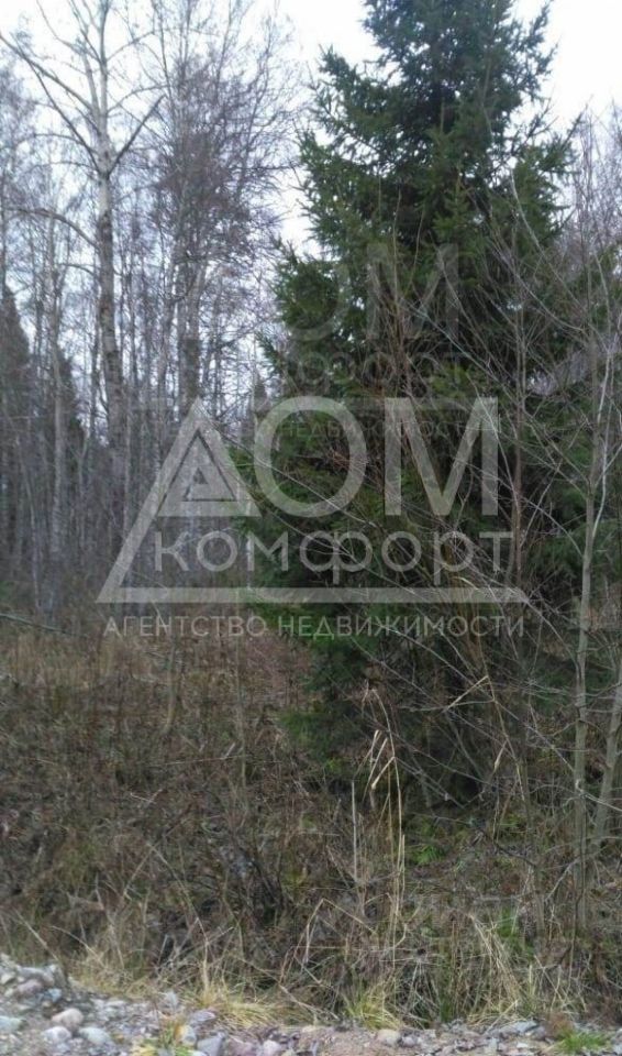 Продажа земли Гвардеец СНТ, улица Речная