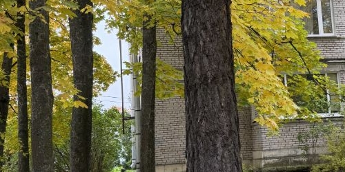 3-комн квартира Петергоф, Никольская улица, 2