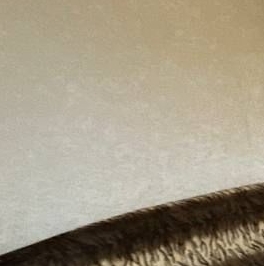 Продажа 1-комн квартиры на вторичном рынке улица Жени Егоровой, 12К2