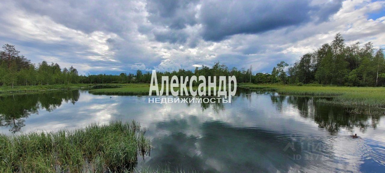 Продажа дома д. Черное, 33А