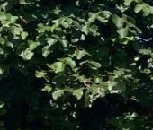 Продать Квартиры вторичка Свердловская набережная, 62   