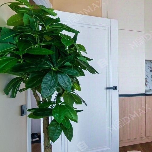 2-комн квартира проспект Крузенштерна, 2