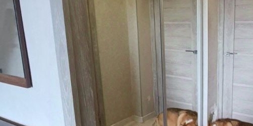 Студия улица Нахимова, 1