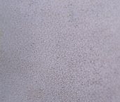 Продать Квартиры вторичка улица Мишина, 16   