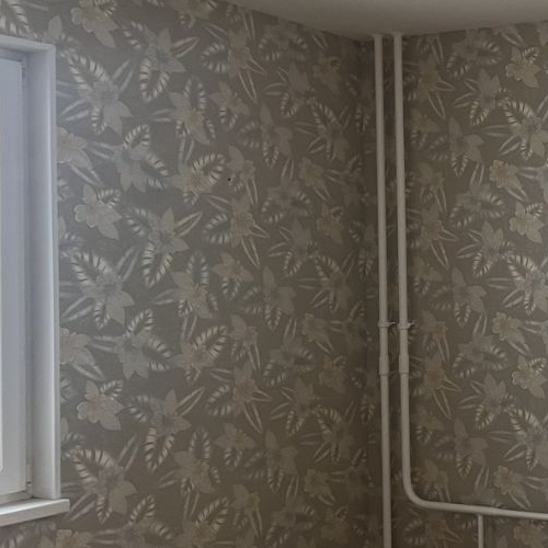 2-комн квартира дорога Кушелевская, 3к11