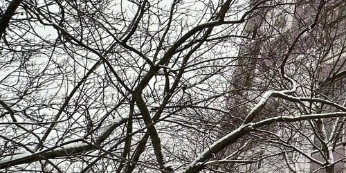 3-комн квартира улица Сталеваров, 12К1