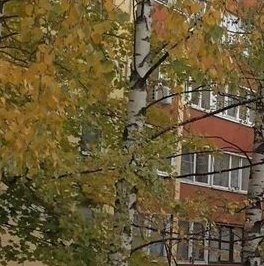 Продажа 3-комн квартиры на вторичном рынке улица Савушкина, 145 Продажа 3-комн квартиры на вторичном рынке улица Савушкина, 145