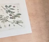 Продать Квартиры вторичка Центральный мкр, шоссе Каширское, 83   