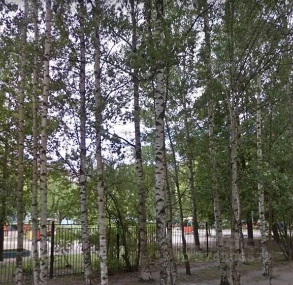 Продажа 3-комн квартиры на вторичном рынке Светлановский проспект, 71К2