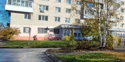 4-комн квартира Тосно г., улица Боярова, 2