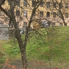 Продажа комнаты 11-я Васильевского острова линия, 24Б Продажа комнаты 11-я Васильевского острова линия, 24Б