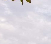 Продать Квартиры вторичка улица Обручевых, 5   